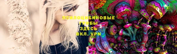 экстази Алексеевка